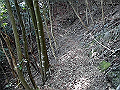 gose060_thumb.png