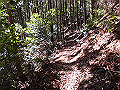 gose061_thumb.png