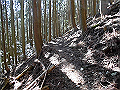 gose062_thumb.png