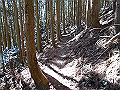 gose063_thumb.png