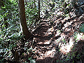 gose064_thumb.png