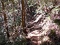 gose065_thumb.png