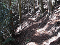 gose067_thumb.png