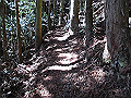 gose068_thumb.png