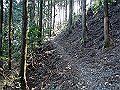 gose070_thumb.png