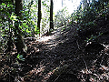 gose071_thumb.png