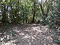 gose072_thumb.png