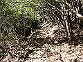 gose073_thumb.png