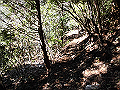 gose074_thumb.png