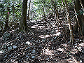 gose075_thumb.png
