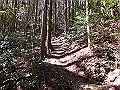 gose076_thumb.png