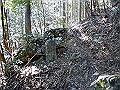 gose077_thumb.png