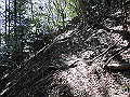 gose079_thumb.png