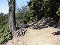 gose088_thumb.png