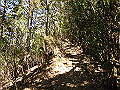 gose089_thumb.png