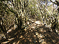 gose090_thumb.png