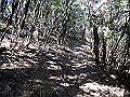 gose091_thumb.png