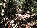 gose092_thumb.png