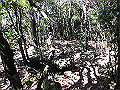 gose094_thumb.png