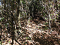gose095_thumb.png