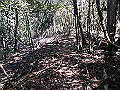 gose096_thumb.png