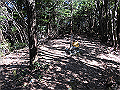gose097_thumb.png