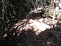 gose099_thumb.png