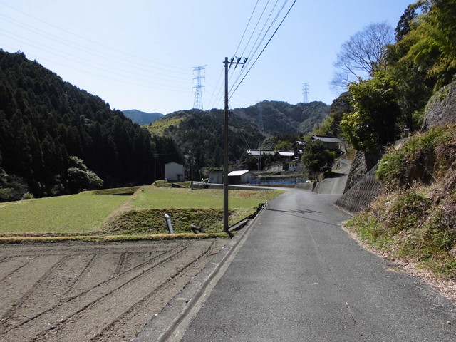 yahazu006.jpg