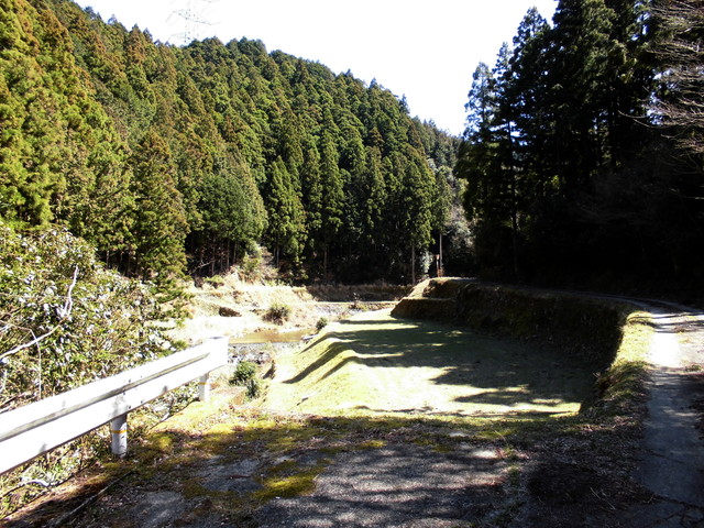 yahazu010.jpg