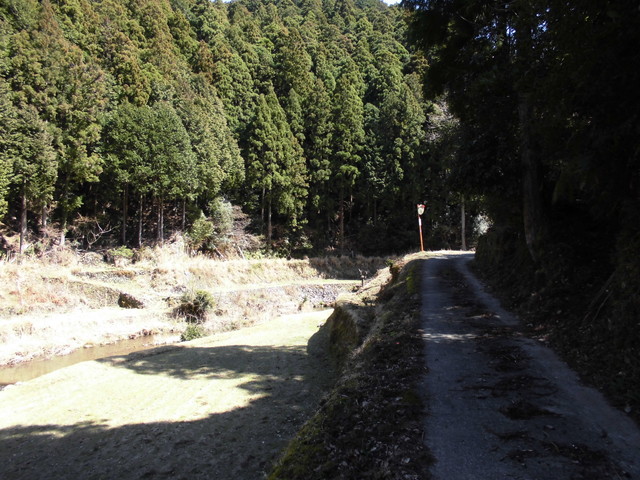 yahazu011.jpg