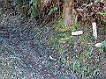yahazu013_thumb.png