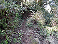 yahazu015_thumb.png