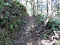 yahazu016_thumb.png