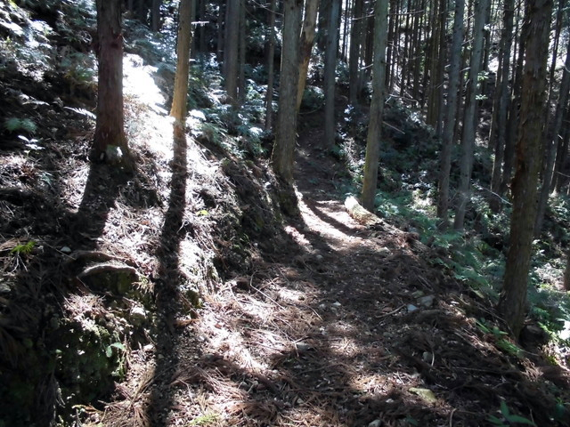 yahazu022.jpg