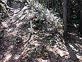yahazu024_thumb.png