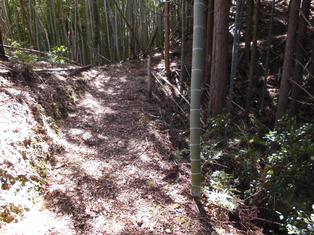 yahazu025.jpg