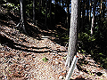 yahazu032_thumb.png
