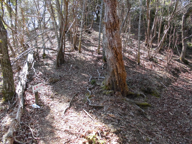 yahazu039.jpg