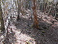 yahazu039_thumb.png