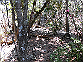 yahazu041_thumb.png
