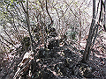 yahazu043_thumb.png