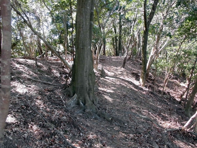 yahazu047.jpg