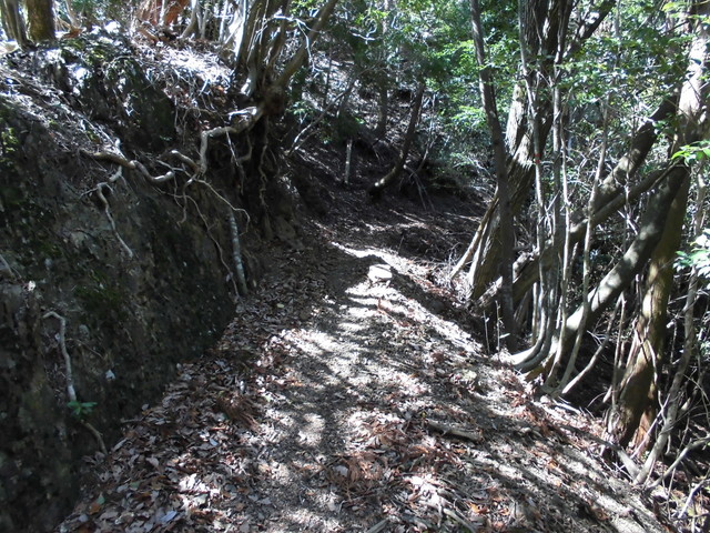 yahazu050.jpg