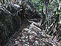 yahazu050_thumb.png