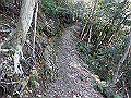 yahazu052_thumb.png