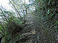 yahazu053_thumb.png