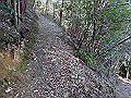 yahazu054_thumb.png