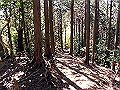 yahazu060_thumb.png