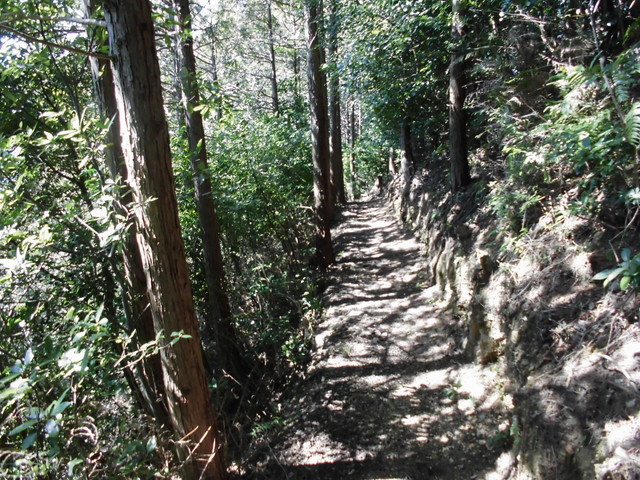 yahazu066.jpg
