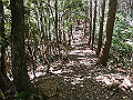 yahazu071_thumb.png